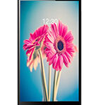 immagine rappresentativa di Lava Iris 504q