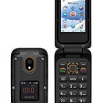 immagine rappresentativa di Plum Ram 8